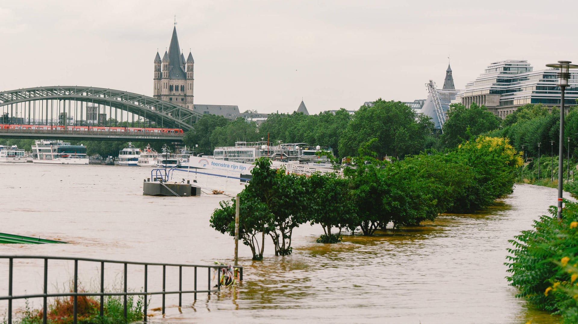 Das Ufer in Köln ist überflutet (Foto vom 15. Juli): Die Wasserstände des Rheins sollen wieder absinken.