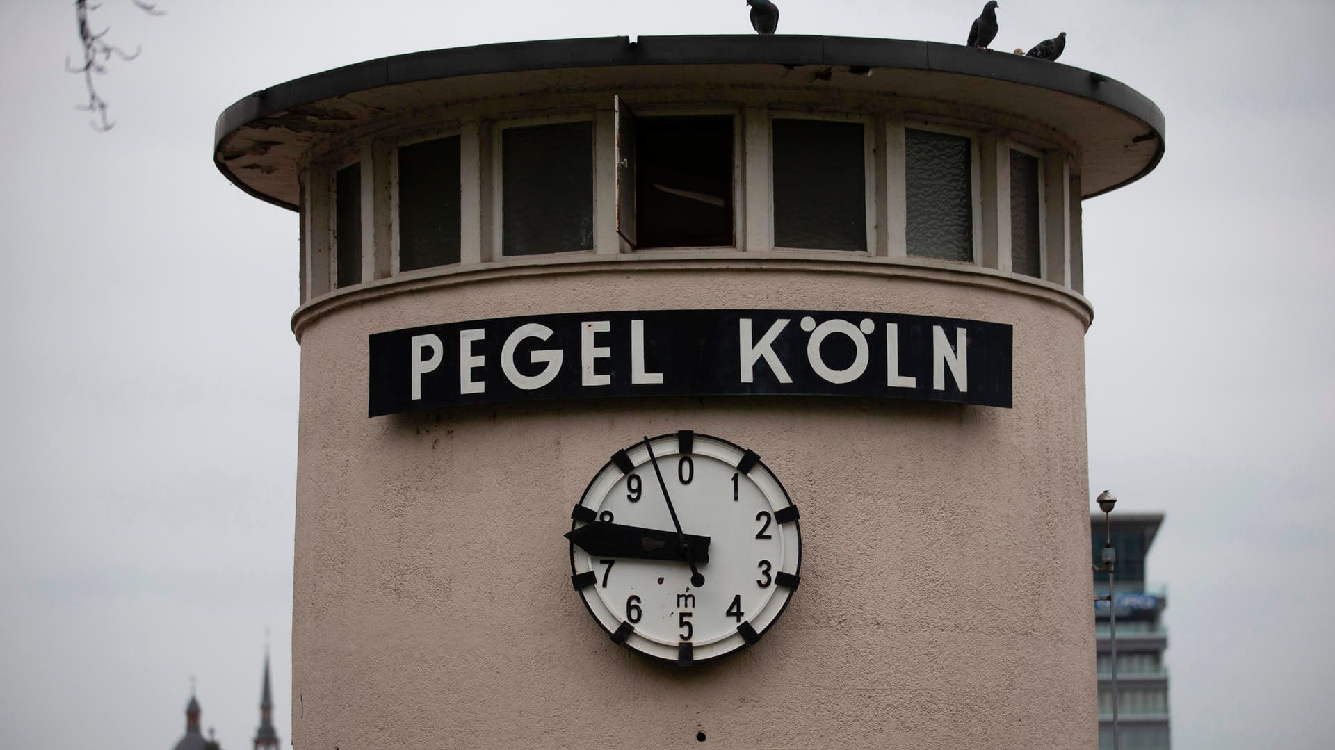 Pegel Köln: Das Rhein-Hochwasser in Köln geht langsam zurück.