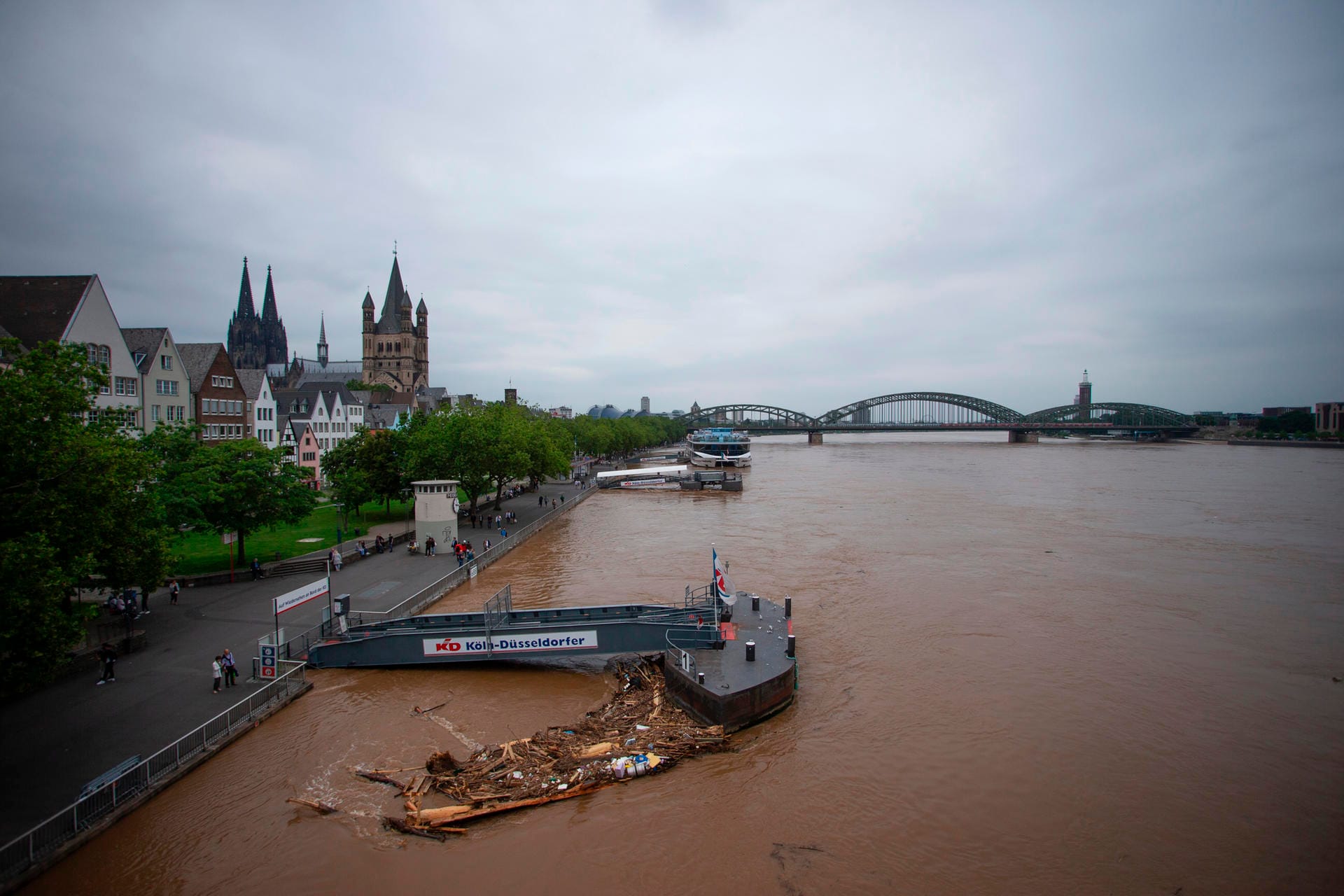 Blick auf den Rhein in Köln: Das Wasser ist vom Schlamm braun gefärbt.