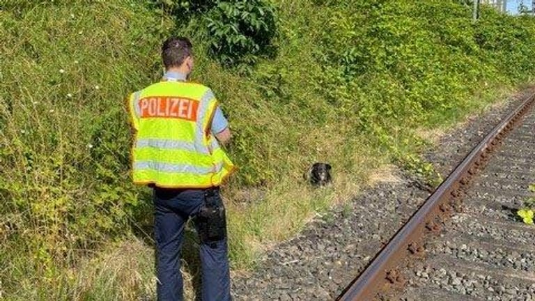 Ein Beamter der Polizei steht neben den Gleisen, vor ihm der streunende Hund: Zu Zwischenfällen mit den Zügen ist es nicht gekommen.
