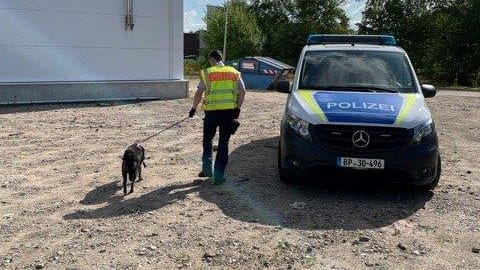 Ein Beamter der Bundespolizei bringt die Hündin zu Streifenwagen: Sie konnte schnell eingefangen werden. Ein Beamter der Bundespolizei bringt die Hündin zu Streifenwagen: Sie konnte schnell eingefangen werden.