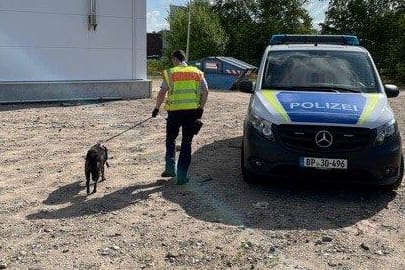 Ein Beamter der Bundespolizei bringt die Hündin zu Streifenwagen: Sie konnte schnell eingefangen werden.
