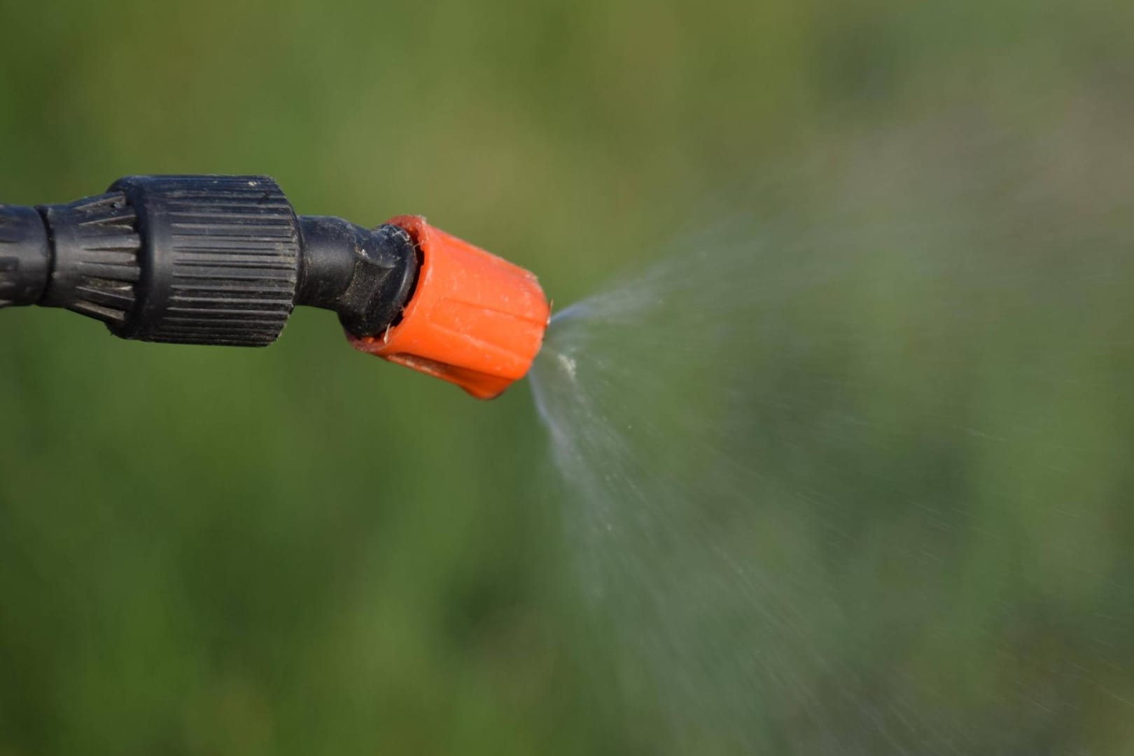 Unkrautvernichter: Glyphosat und Produkte, die das Mittel enthalten, werden wohl bald verboten.