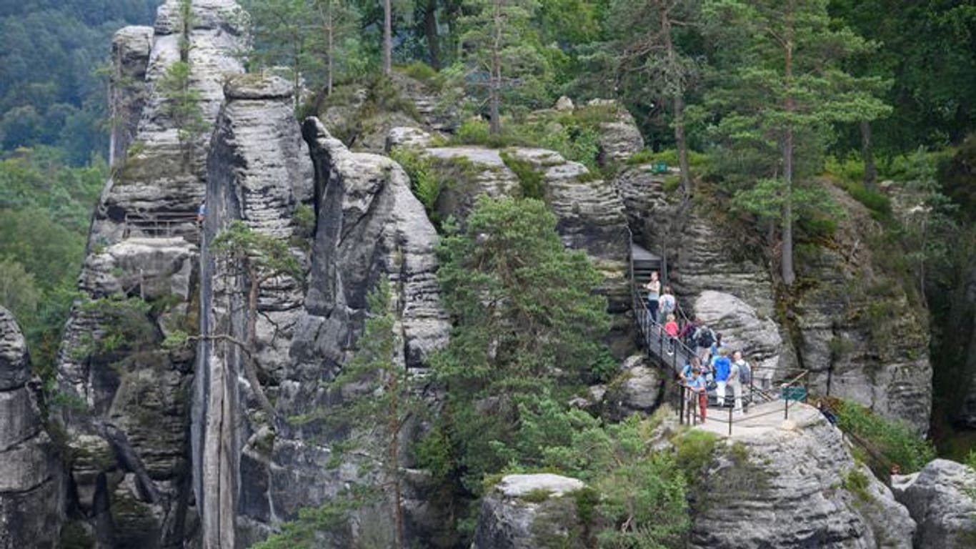 Touristen stehen im Nationalpark Sächsische Schweiz auf einer Aussichtsplattform (Archivbild): Trotz "lokal begrenzter" Hochwasserschäden blickt man auch hier optimistisch auf die Sommerferien.