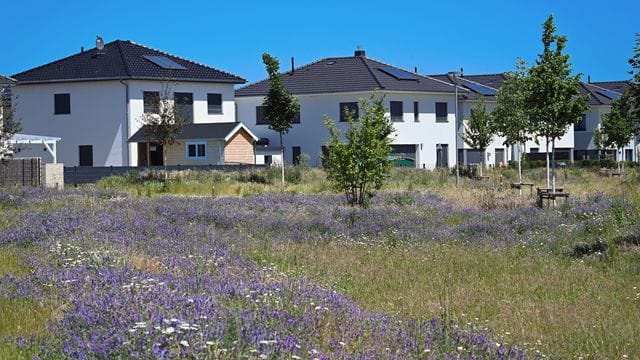 Der durchschnittliche Wohnraum pro Kopf stieg laut Statistischem Bundesamt seit 1995 bis Ende 2020 von 36 auf 47 Quadratmeter.