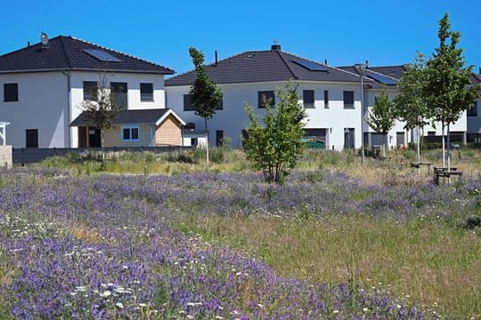 Der durchschnittliche Wohnraum pro Kopf stieg laut Statistischem Bundesamt seit 1995 bis Ende 2020 von 36 auf 47 Quadratmeter.