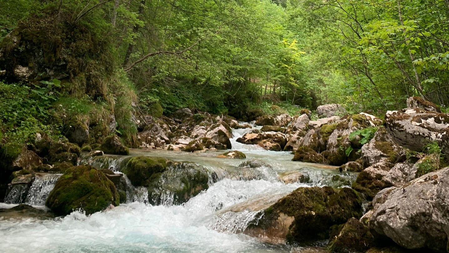 Wanderung von Hammersbach aus: Sie führt entlang des rauschenden Flusses.