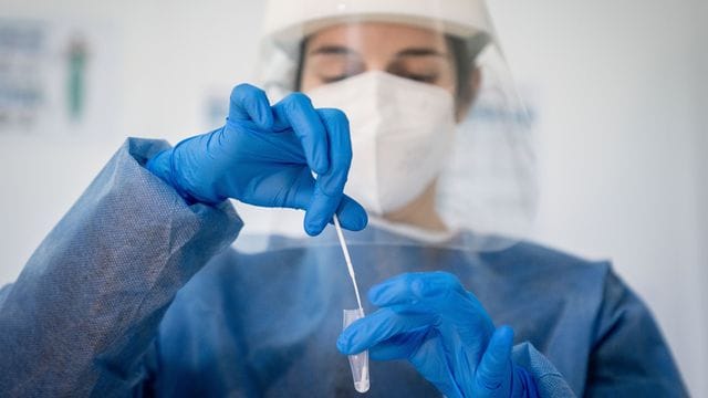 Coronavirus Coronavirus