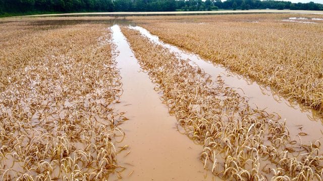 Wasser steht auf einem Feld in Nordrhein-Westfalen Wasser steht auf einem Feld in Nordrhein-Westfalen