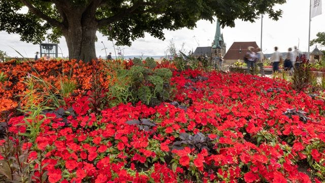 Besucher gehen am Gelände der Bundesgartenschau entlang