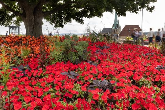 Besucher gehen am Gelände der Bundesgartenschau entlang