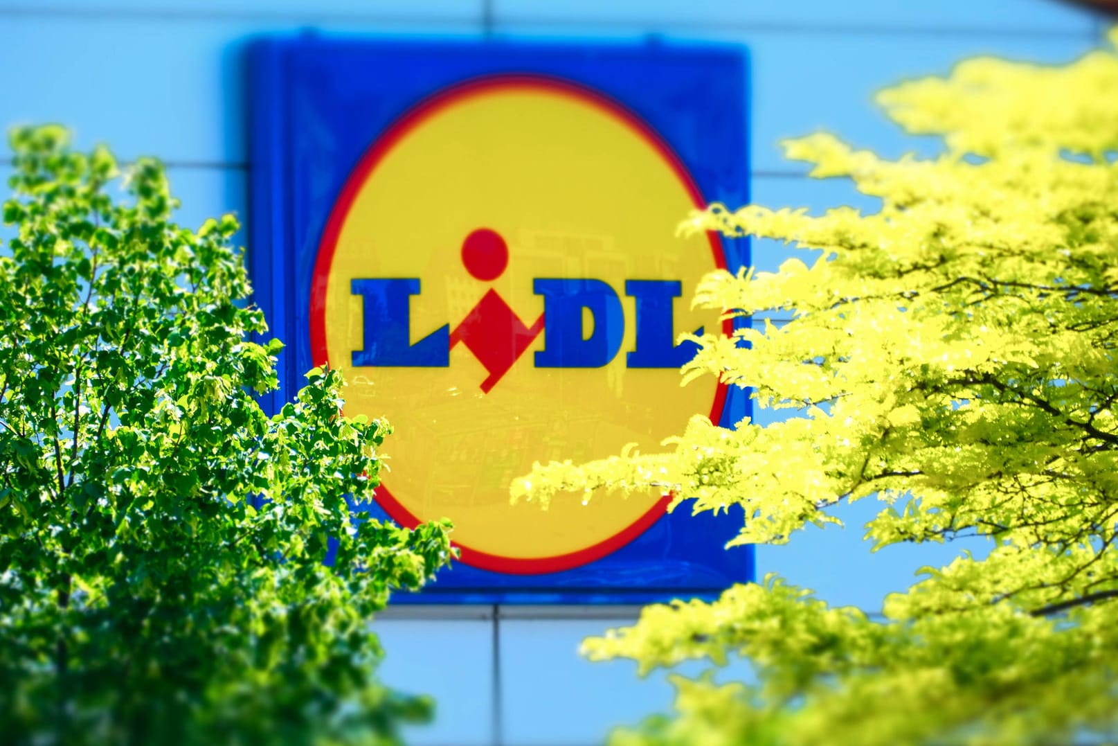 Eine Lidl-Filiale in Düsseldorf (Symbolbild): Die Discounter-Kette bekommt im Oktober einen neuen Chef. Eine Lidl-Filiale in Düsseldorf (Symbolbild): Die Discounter-Kette bekommt im Oktober einen neuen Chef.