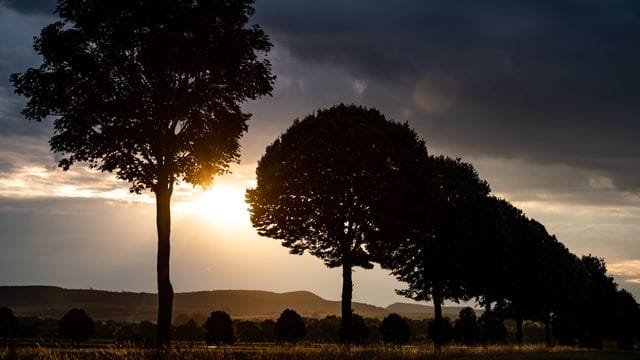 Die Sonne scheint am frühen Morgen hinter einer Allee und Wolken