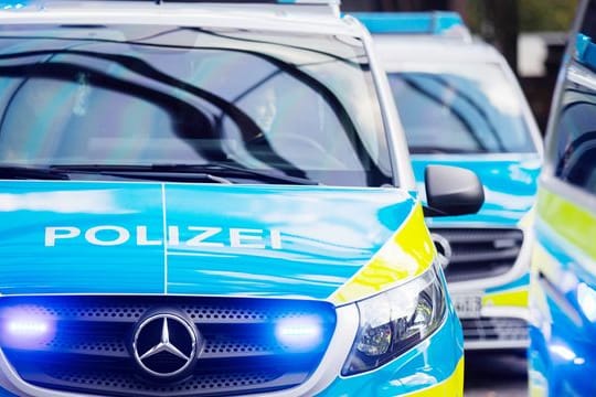 Mehrere Streifenwagen der Polizei stehen aufgereiht nebeneinander