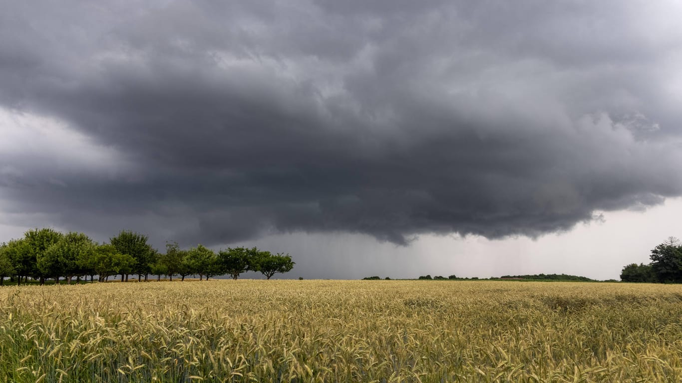 Dunkle Gewitterwolken über den Feldern (Symbolbild): Am Wochenende werden im Westen lokal Unwetter erwartet.
