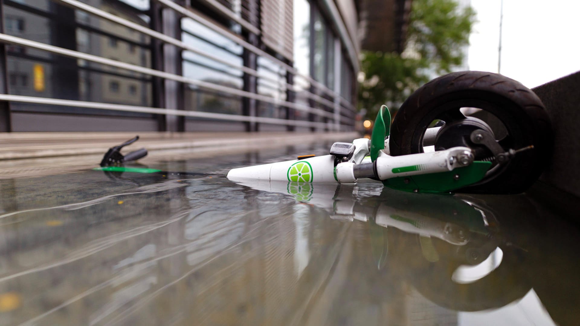 Ein E-Scooter liegt in einem Wasserbecken in Köln (Archivbild): In Köln soll die Nutzung künftig strenger reguliert werden. Ein E-Scooter liegt in einem Wasserbecken in Köln (Archivbild): In Köln soll die Nutzung künftig strenger reguliert werden.