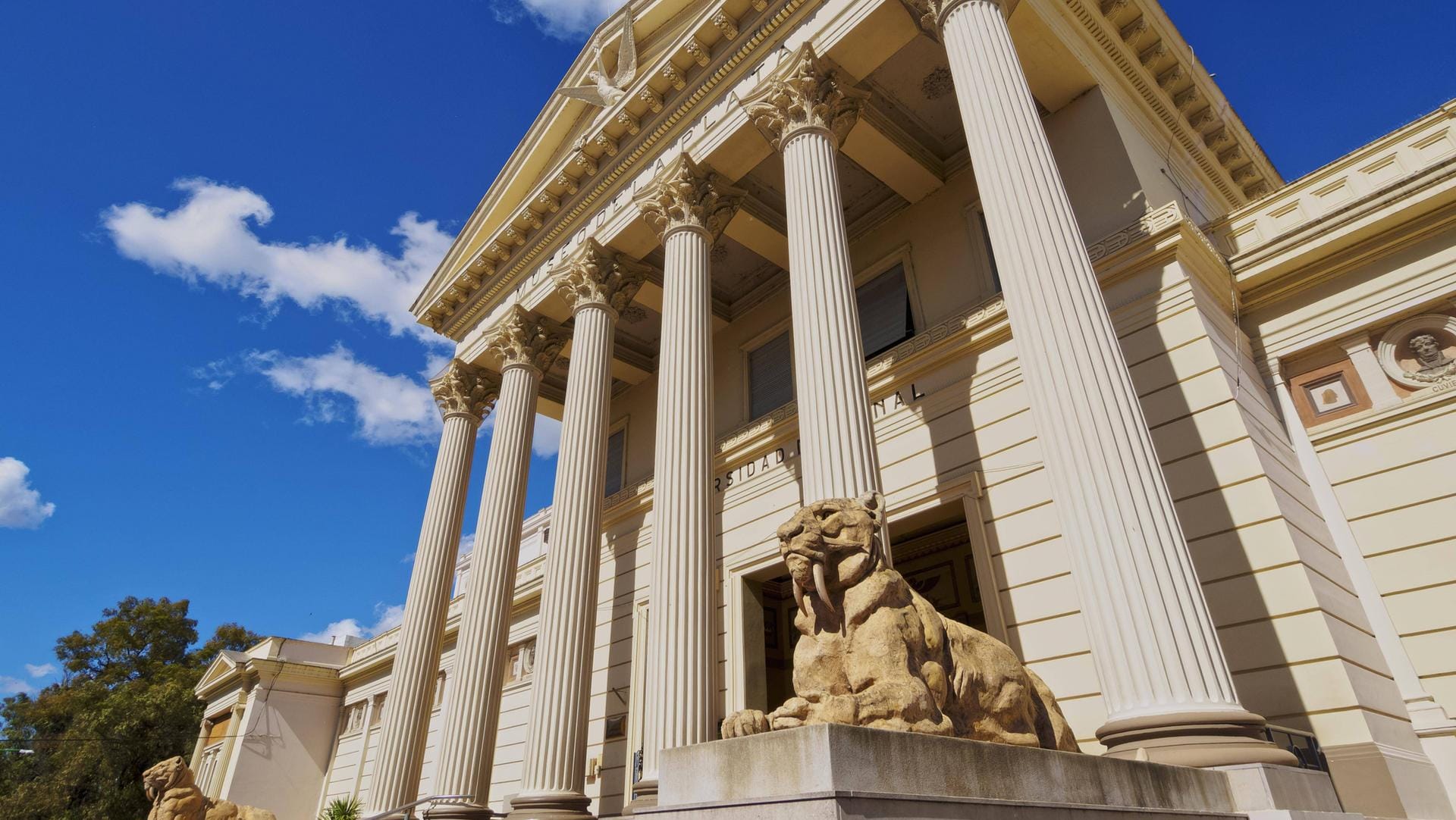 La Plata Naturkundemuseum in Buenos Aires: Der Fundort ist auf dem Campus der Universität (Symbolbild).