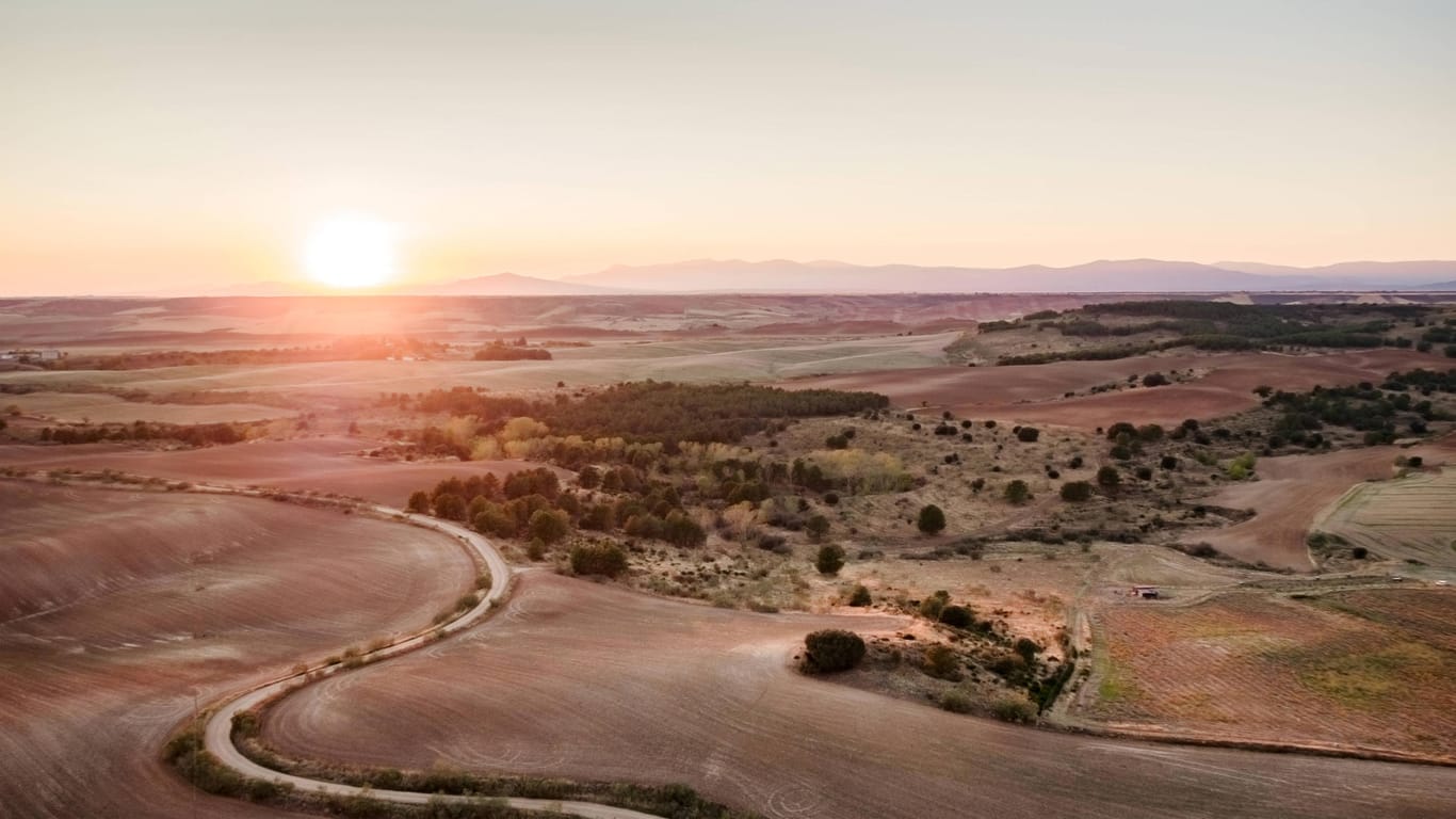 Im Sonnenuntergang: Blick auf Anbauflächen im spanischen Uceda.