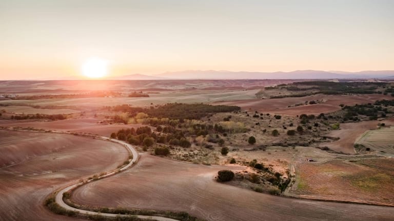 Im Sonnenuntergang: Blick auf Anbauflächen im spanischen Uceda.