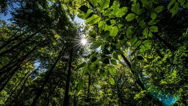 Wenig materielle Anerkennung für Naturschutzwächter Wenig materielle Anerkennung für Naturschutzwächter