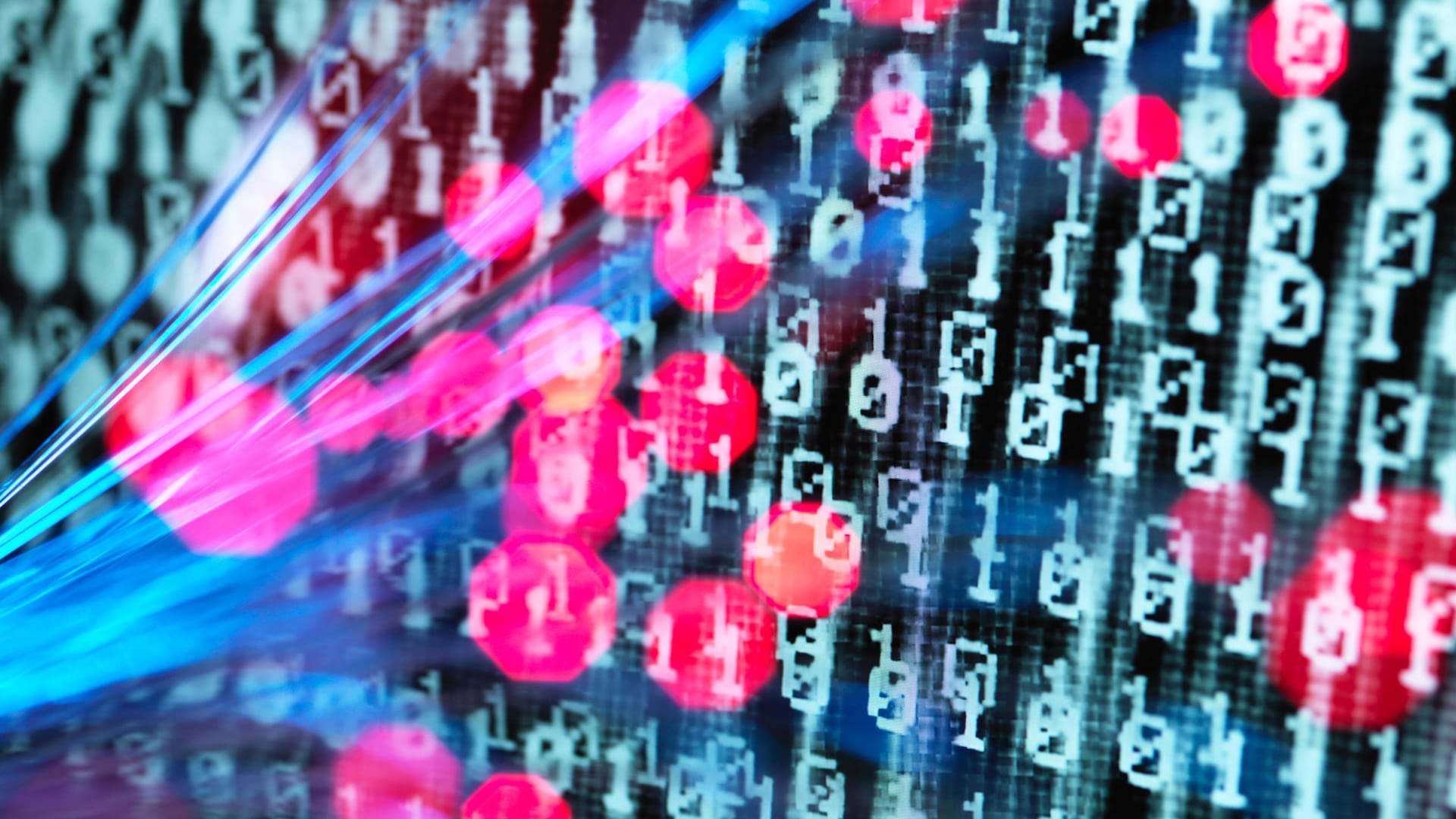 Glasfaserkabel vor Desktop (Symbolbild): Es besteht eine hohe Gefahr für Cyberangriffe bei der Bundestagswahl. Glasfaserkabel vor Desktop (Symbolbild): Es besteht eine hohe Gefahr für Cyberangriffe bei der Bundestagswahl.