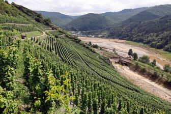 Schäden der Flut: Die Überschwemmungen im Ahrtal haben viele Winzer an den Rand ihrer Existenz gedrängt.