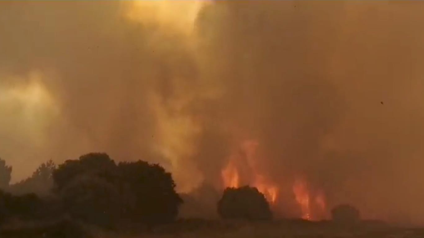 Bilder des Feuers in Sardinien: Rund 1.200 Menschen mussten ihre Häuser verlassen.