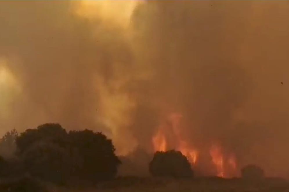 Bilder des Feuers in Sardinien: Rund 1.200 Menschen mussten ihre Häuser verlassen.