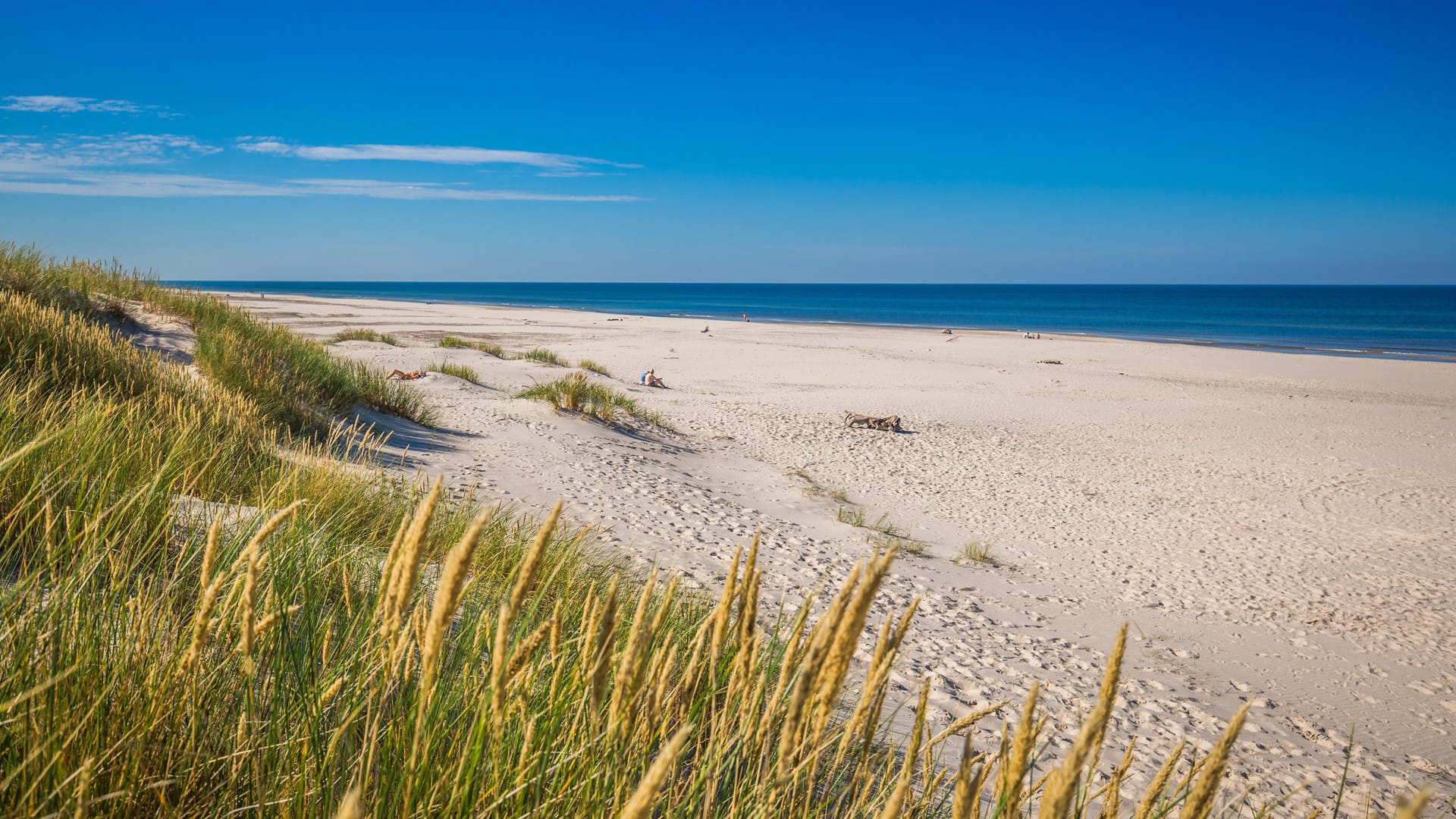 Dünen in Leba: Zehn Meter pro Jahr wandert hier der Sand landeinwärts.