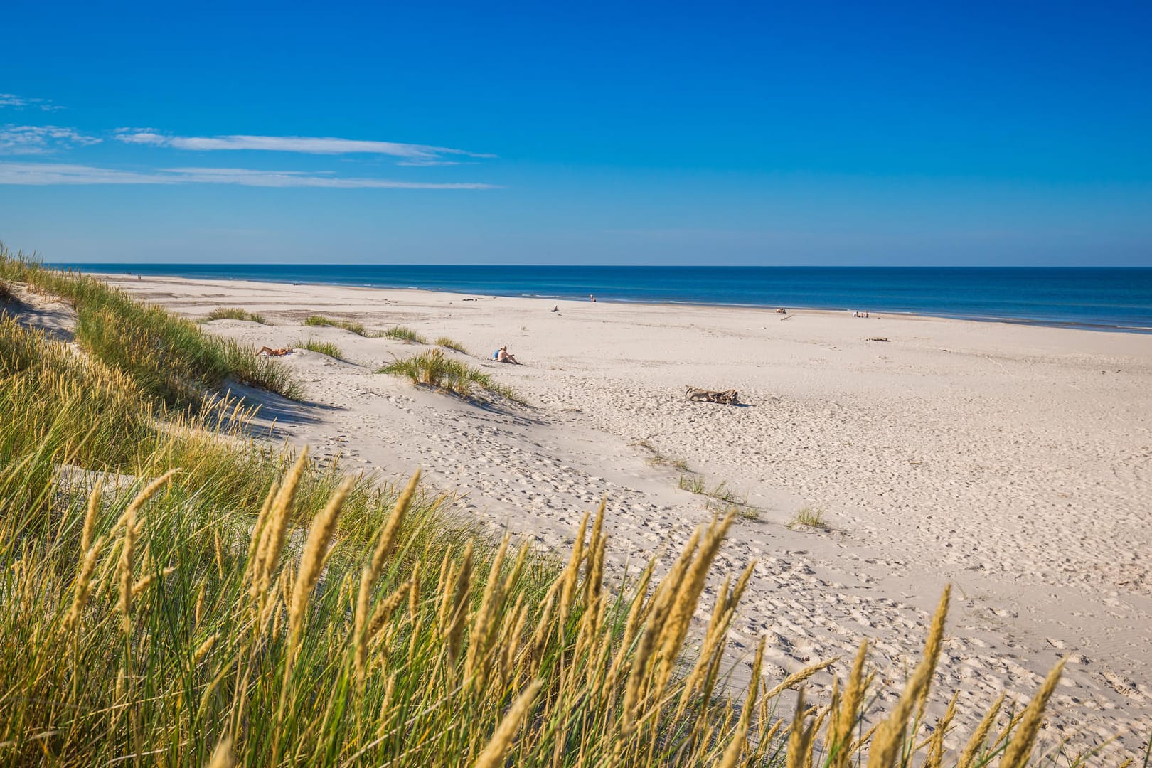 Dünen in Leba: Zehn Meter pro Jahr wandert hier der Sand landeinwärts.