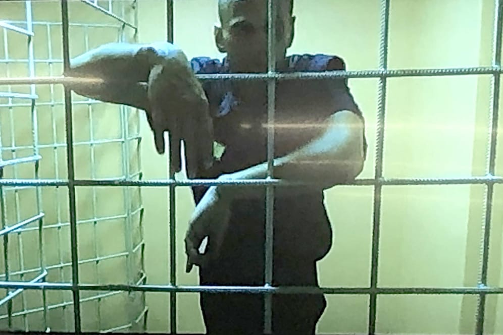 Eine Aufnahme von Alexej Nawalny hinter Gittern: Russland hat unter anderem Internetseiten um den inhaftierten Kremlkritiker gesperrt.