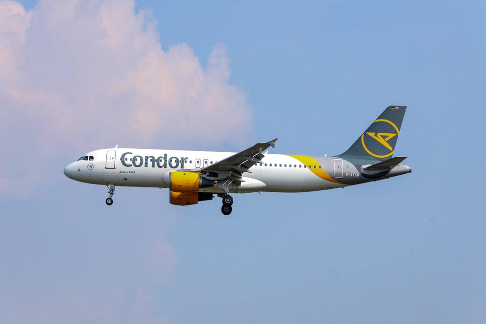 Condor-Maschine: Der Ferienflieger bekommt eine Millionen-Beihilfe der Bundesregierung.