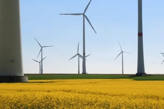 Windräder und Rapsfeld