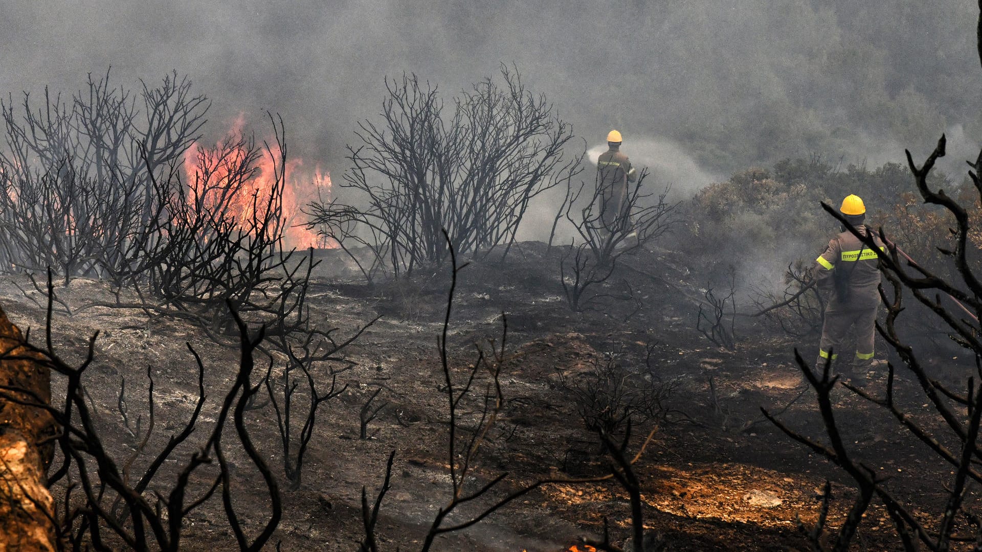 Feuerwehrleute versuchen einen Waldbrand in Griechenland zu löschen: Nahe Athen mussten Häuser evakuiert werden.