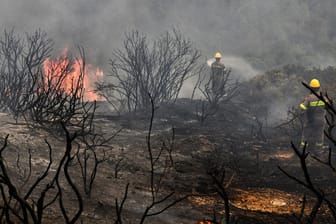 Feuerwehrleute versuchen einen Waldbrand in Griechenland zu löschen: Nahe Athen mussten Häuser evakuiert werden.