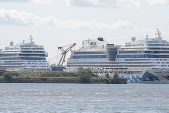 Zwei Kreuzfahrtschiffe liegen am Terminal in Hamburg (Archivbild): 2019 wurden 30.000 Seeleute von der Schifffahrtsmission in Hamburg betreut.