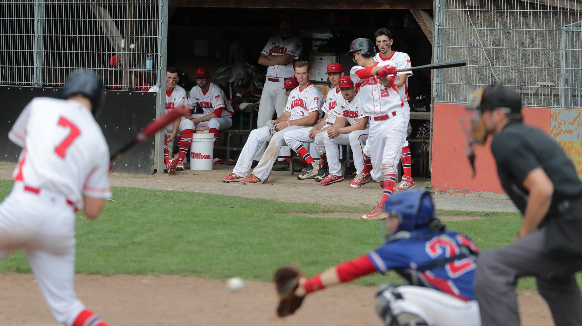 Die Cologne Cardinals spielen gegen die Hamburg Stealers (Archivbild): Der Kölner Traditionsverein soll einen neuen Mietvertrag unterschreiben, der das Ende der "Cards" bedeuten könnte.