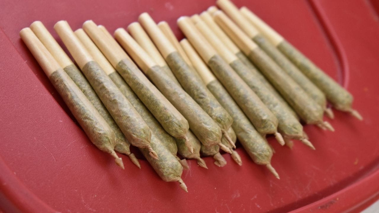 Selbsgedrehte Marihuana-Zigaretten, auch Joints genannt. Selbsgedrehte Marihuana-Zigaretten, auch Joints genannt.
