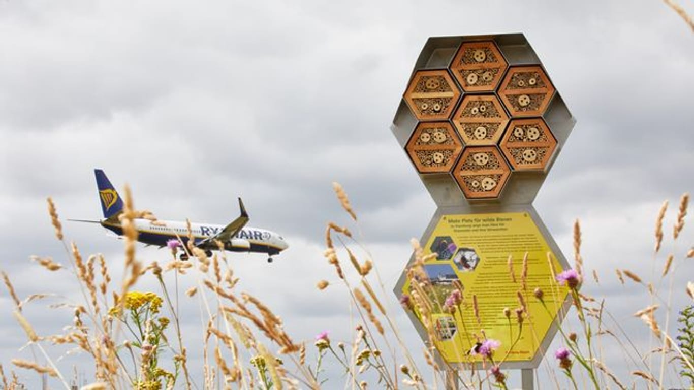 Honig-und Wildbienen am Hamburger Flughafen