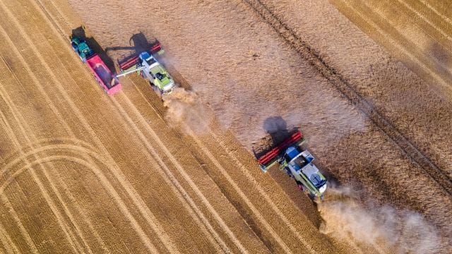 Mähdrescher fahren bei der Ernte der Wintergerste über ein Feld