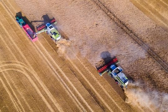 Mähdrescher fahren bei der Ernte der Wintergerste über ein Feld