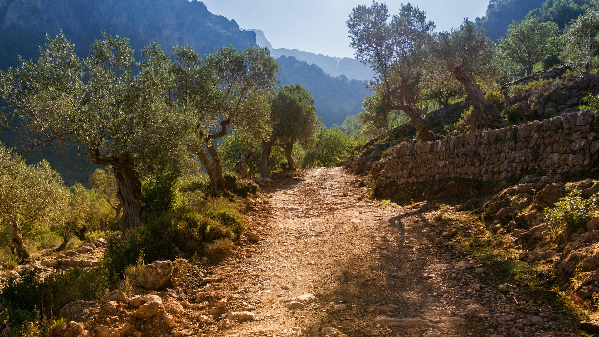 Wanderweg auf Mallorca: Die Todesursache des Mannes ist noch unklar (Symbolbild). Wanderweg auf Mallorca: Die Todesursache des Mannes ist noch unklar (Symbolbild).