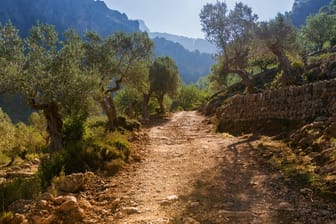 Wanderweg auf Mallorca: Die Todesursache des Mannes ist noch unklar (Symbolbild).