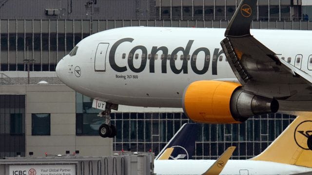 Condor Condor