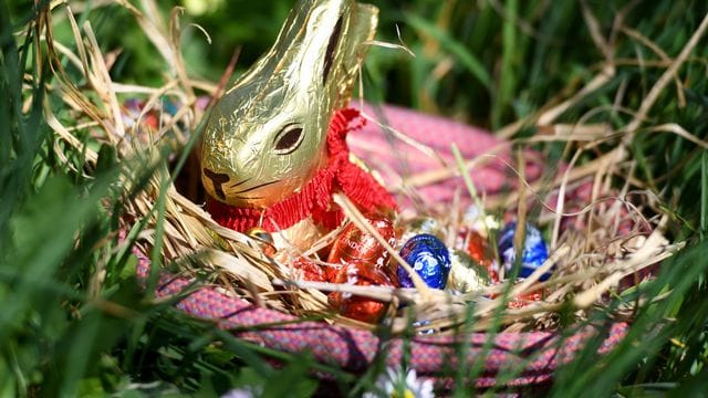 Osternest mit Schokohase und Schokoladeneiern