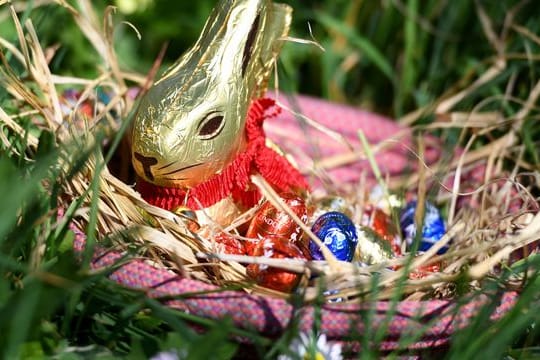 Osternest mit Schokohase und Schokoladeneiern