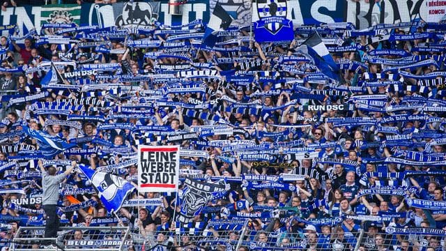 Bielefeld Fans Bielefeld Fans