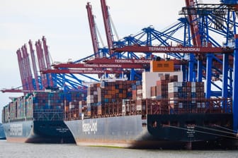 Containerschiffe im Hamburger Hafen (Symbolbild): Die deutsche Industrie sieht die steigenden Importpreise mit Sorge.