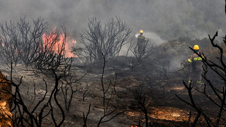 Griechenland: Feuerwehrleute versuchen einen Waldbrand bei Korinth zu löschen.