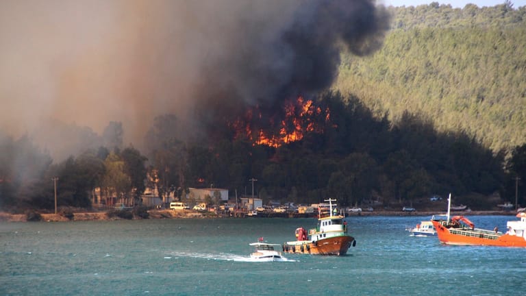 Türkei: Rauch und Flammen steigen aus einem Waldgebiet nahe der Küstenstadt Bodrum auf.